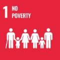 sdg1.png